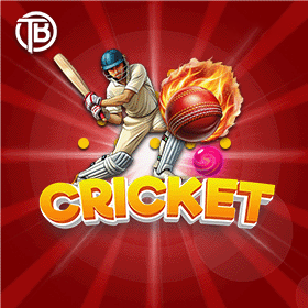 6 Club Cricket sports game